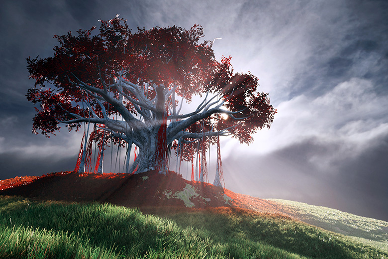 nature-shaders-dynamic-color-overlay-780x580.jpg